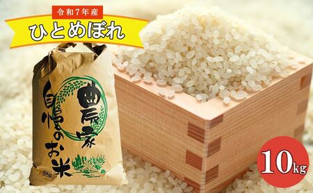 ひとめぼれ 10kg 白米 精米 宮城県亘理町 令和7年産 コメ