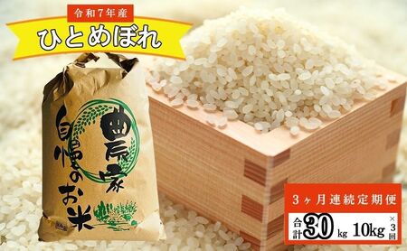 3ヶ月 10㎏ 定期便 白米  ひとめぼれ 精米 令和7年産 コメ