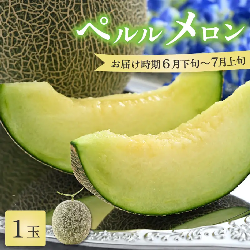 【先行予約】ペルルメロン 1玉（約2kg以上）青肉品種 高級メロン！ ／ マスクメロン 大玉 果物 フルーツ ギフト 農家直送 ※2027年6月下旬以降順次発送 [aw065-a006]