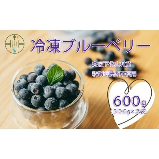【先行予約】8月中旬～順次発送 無農薬 冷凍 としちゃんのブルーベリー 300gx2 手摘み 下北山村産