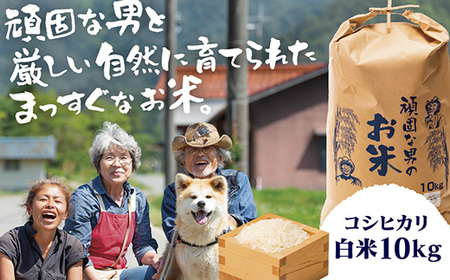 D364 頑固な男のお米（コシヒカリ）白米10kg