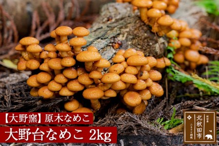 原木なめこ「大野台なめこ」２kg