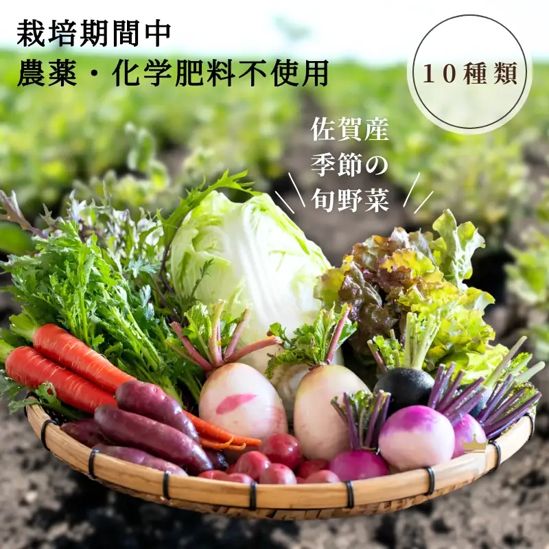 佐賀産季節の旬野菜10種類（栽培期間中農薬・化学肥料不使用）露地栽培野菜 セット スローLIFEスローWORK大和：B120-036