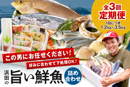【定期便】浜田の旨い鮮魚3回お届けコース 海鮮 セット 海鮮 【006_2042】