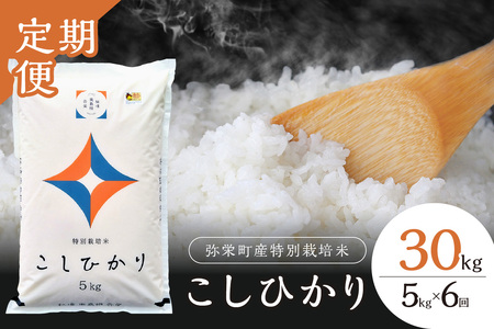 【定期便】【令和7年産】弥栄町産特別栽培米「秘境奥島根弥栄」こしひかり5kg（6回コース） 米 お米 こしひかり 特別栽培米 精米 白米 ごはん 定期 定期便 6回 新生活 応援 準備 お取り寄せ 特産【090_1879】