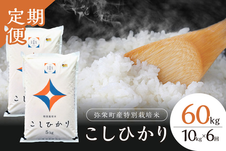 【定期便】【令和7年産】弥栄町産特別栽培米「秘境奥島根弥栄」こしひかり10kg（6回コース） 米 お米 精米 白米 ごはん 新生活 応援 準備 定期 6回 お取り寄せ 特産 特別栽培米 【090_1881】