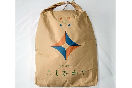 【令和7年産】弥栄町産特別栽培米「秘境奥島根弥栄」こしひかり（玄米）30kg 米 お米 玄米 特別栽培米 新生活 応援 準備 ごはん お取り寄せ 特産 【090_1883】