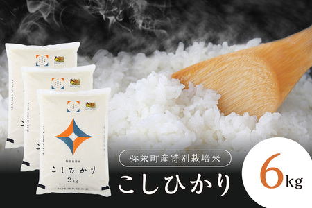 【令和８年産】弥栄町産特別栽培米「秘境奥島根弥栄」こしひかり6kg 米 お米 精米 白米 ごはん コシヒカリ 6キロ 特別栽培米 お取り寄せ 特産 新生活 応援 準備 【090_1928】
