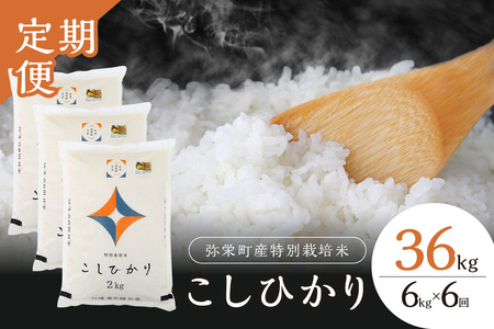 【定期便】【令和7年産】弥栄町産特別栽培米「秘境奥島根弥栄」こしひかり6kg（6回コース） 米 お米 特別栽培米 こしひかり 精米 白米 ごはん 定期 定期便 6回 お取り寄せ 特産 応援 準備 【090_1884】
