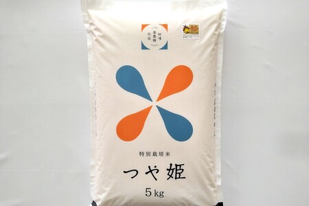 【令和7年産】【定期便】浜田市弥栄町産「秘境奥島根弥栄」つや姫5割減（5kg×6回コース）【090_1867】