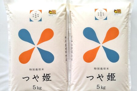 【令和7年産】【定期便】弥栄町産特別栽培米「秘境奥島根弥栄」つや姫5割減（10kg×6回コース）【090_1870】