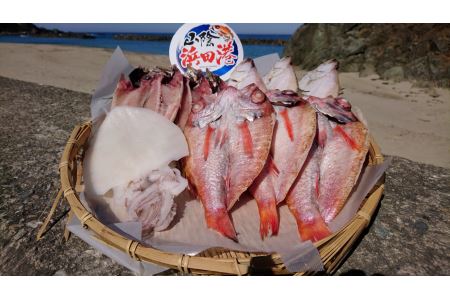 しまね浜田の美味しいのどぐろ あじ カレイ 白いか 一夜干しセット 魚介類 魚貝類 魚 干物 干もの 一夜干し おかず つまみ セット 詰め合わせ 父の日 【161_1707】