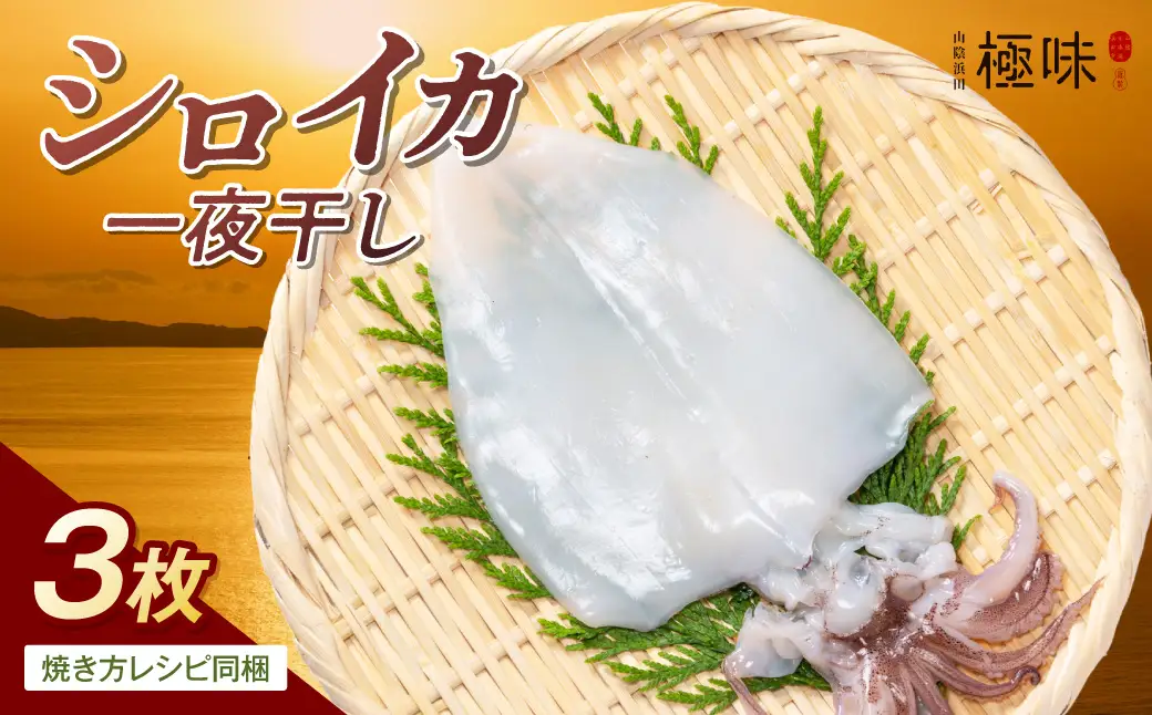 山陰浜田極味 シロイカ（ケンサキイカ）一夜干し3枚入り【164_1825】