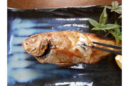 低温技術で瞬間冷凍～いつでも獲れたての味～『山陰・日本海産のどぐろ4尾』下処理済 塩焼き、煮つけ、蒸し物用 魚介類 魚貝類 魚 のどぐろ 冷凍 下処理済み 【165_1460】
