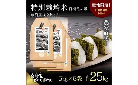 【通年受付】≪令和8年産≫ 農家直送！魚沼産コシヒカリ特別栽培「白羽毛の米」精米 (5kg×5袋) 25kg お米 白米