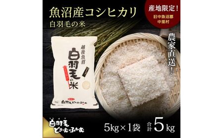 【通年受付】≪令和8年産≫ 農家直送！魚沼産コシヒカリ「白羽毛の米」精米 (5kg×1袋) 5kg お米 白米 ご飯