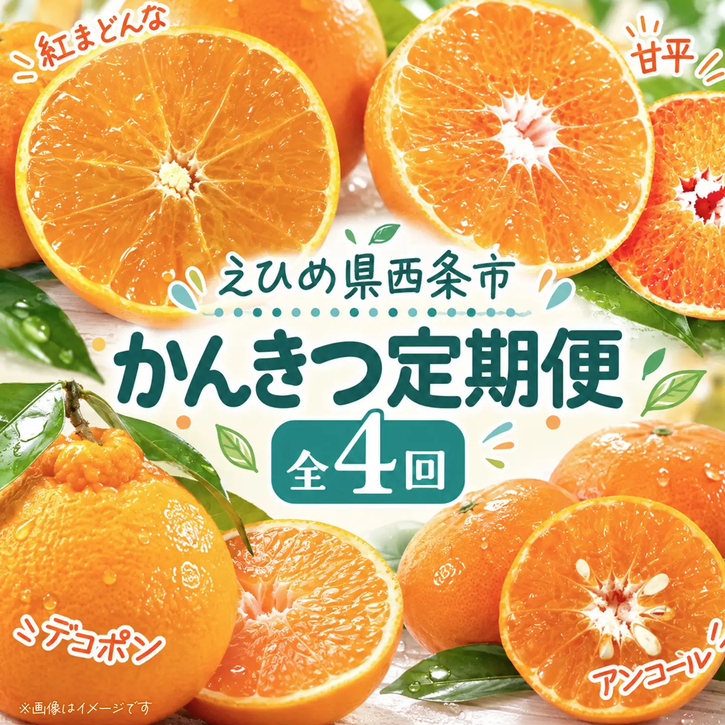 【12月開始】かんきつ定期便（全4回）【紅まどんな 甘平 アンコール デコポン】まどんな