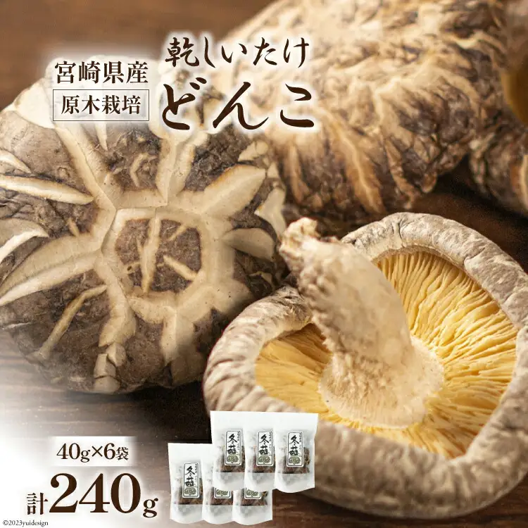 宮崎県産 原木栽培 乾しいたけ どんこ 40g 6袋 計240g