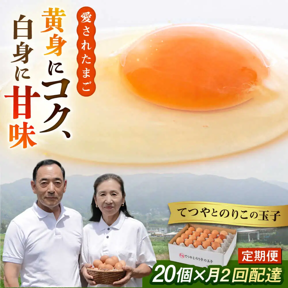 【月2回定期便】 卵 20個×1ヶ月 てつやとのりこの玉子 卵 たまご [AWD011]