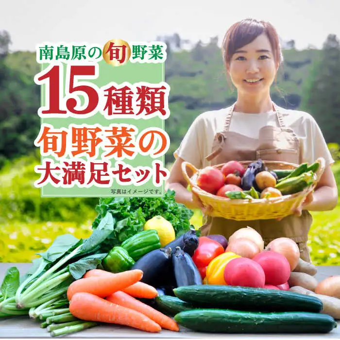 季節の野菜 15種類 セット 旬 産地直送 詰め合わせ / 野菜 やさい 新鮮 野菜セット / 南島原市 / ふるさと企画 [SBA023]
