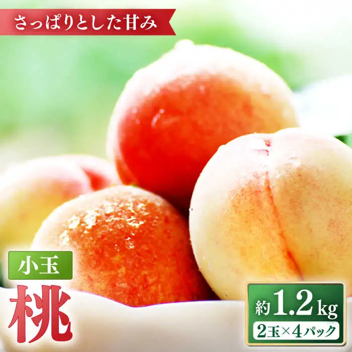 【2027年5月下旬-発送】桃 小玉 ハウス桃 約1.2kg [SBS007]