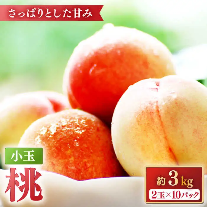 【2027年5月下旬-発送】桃 特別栽培 小玉 ハウスもも（Mサイズ：10パック） / 桃 もも モモ フルーツ 果物 旬 / 南島原市 / ふくはちファーム/福島農園 [SBS008]