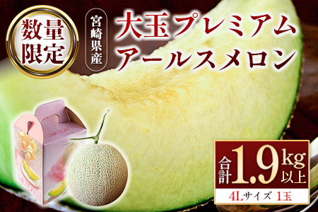 2027年5月～7月出荷 大玉 プレミアムアールスメロン 4L1玉 1.9kg以上 B578-02
