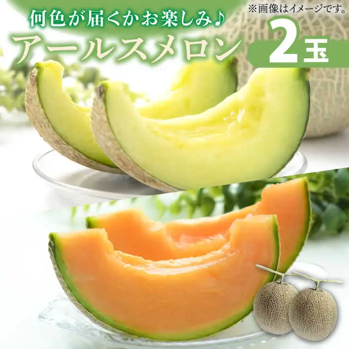 【2026年11月中旬-発送】アールス メロン (2玉) / メロン めろん メロン めろん メロン 青肉 果物 フルーツ / 南島原市 / JA島原雲仙東南部基幹センター [SAC004]