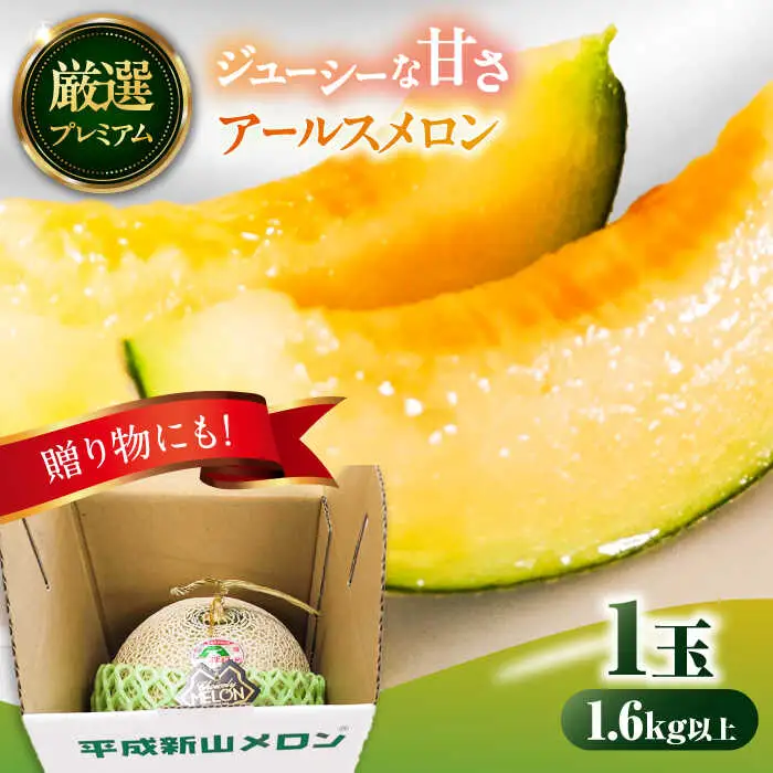 【2026年7月下旬-発送】【平成新山メロンPREMIUM（とみちゃん厳選）】アールスメロン 1玉 / メロン めろん 青肉 糖度 果物 くだもの フルーツ ふるーつ 旬 高級 ギフト / 南島原市 / うえだメロン園 [SAD005]