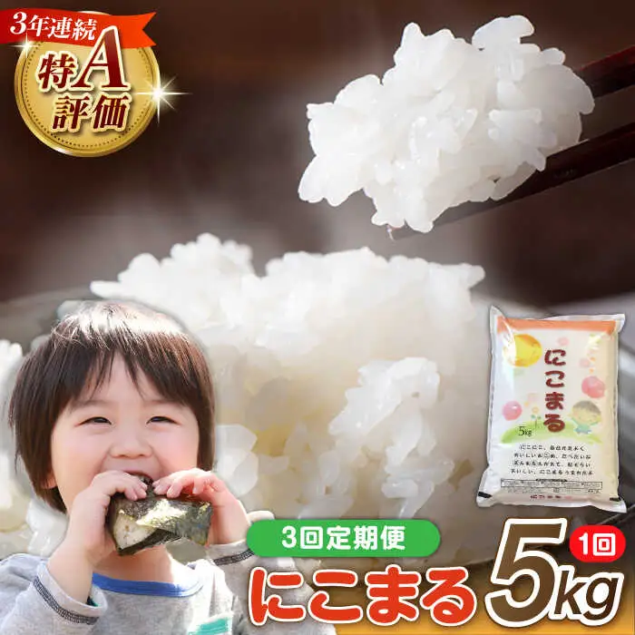 【3回定期便】 長崎県産 精米 にこまる 5kg 総計 15kg / 南島原市 / 大松屋商店 [SDR002]
