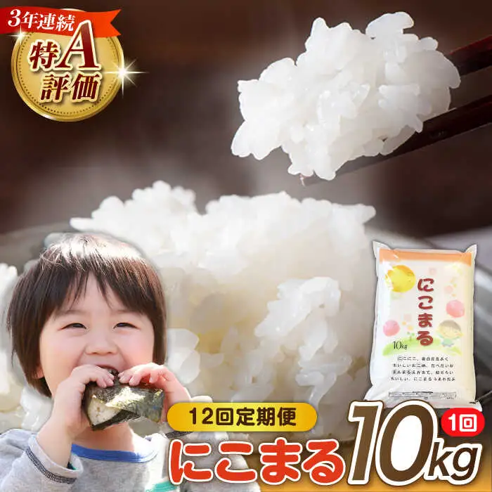 【 12回定期便 】 長崎県産 精米 にこまる 10kg 総計 120kg / 南島原市 / 大松屋商店 [SDR008]