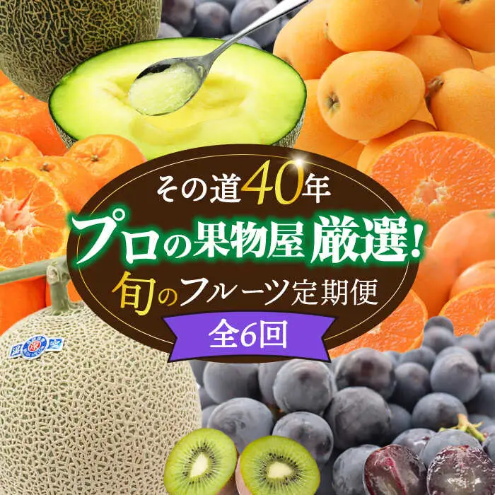 【6回】フルーツ定期便 旬のフルーツ [SDZ022]