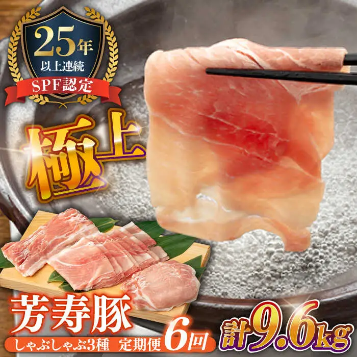 【6回定期便】SPF豚 計1600g 芳寿牧場 [SEI015] SPF豚