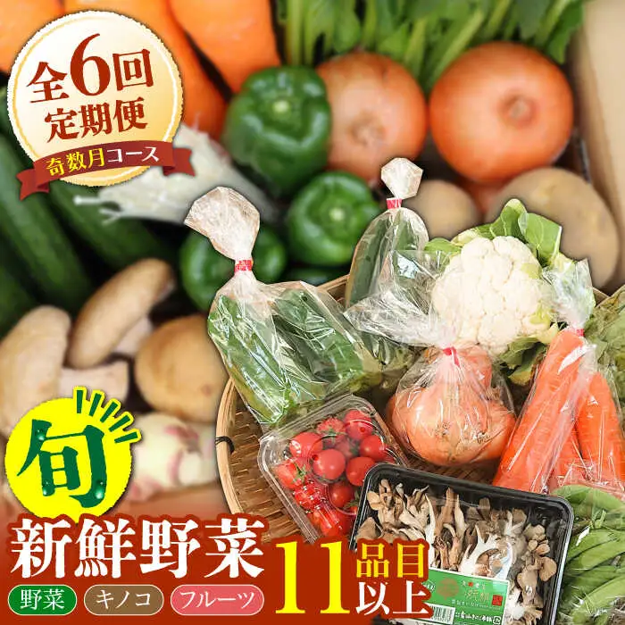 【6回定期便 奇数月コース】野菜 キノコ 果物 11品目 詰め合わせ 野菜 / 吉岡青果 [SCZ005] 