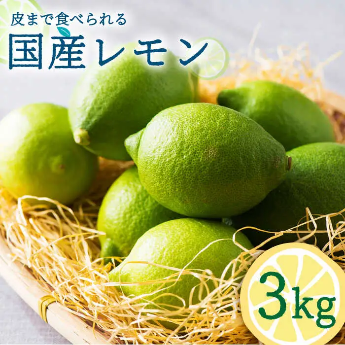 【2026年10月-発送】国産レモン 3kg  / レモン れもん 檸檬 国産 ユーレカ 果物 フルーツ 柑橘 / 南島原市 / 長崎県農産品流通合同会社 [SCB035]
