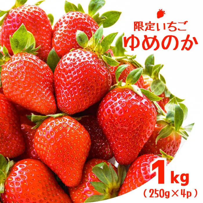 【2027年1月-発送】【限定いちご】 ゆめのか  1kg（250g×4p）/ いちご イチゴ 苺 フルーツ 果物 くだもの / 南島原市 / 長崎県農産品流通合同会社 [SCB040]