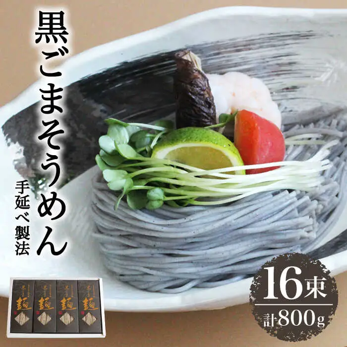 【4代目 麺匠 高橋優】 黒ごまそうめん16束入  / 素麺 南島原市 / 高橋正製麺所 [SCG005]