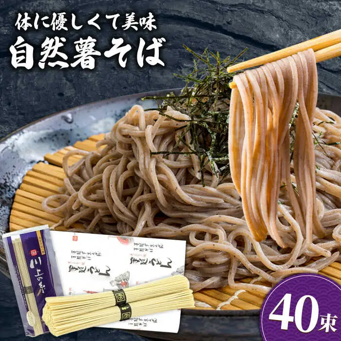 手延べ自然薯そば 2kg（250g×8袋）/ 南島原市 / 川上製麺 [SCM068]