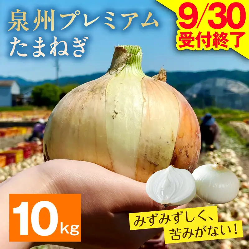 射手矢さんちの泉州プレミアムたまねぎ 10kg 
