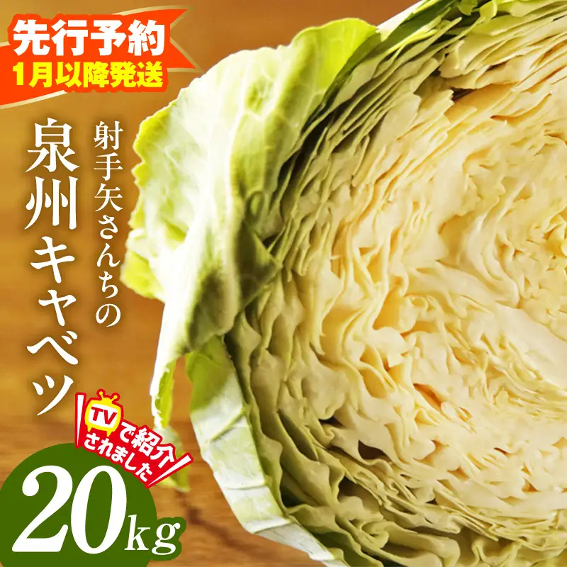 【先行予約】射手矢さんちの泉州キャベツ 20kg