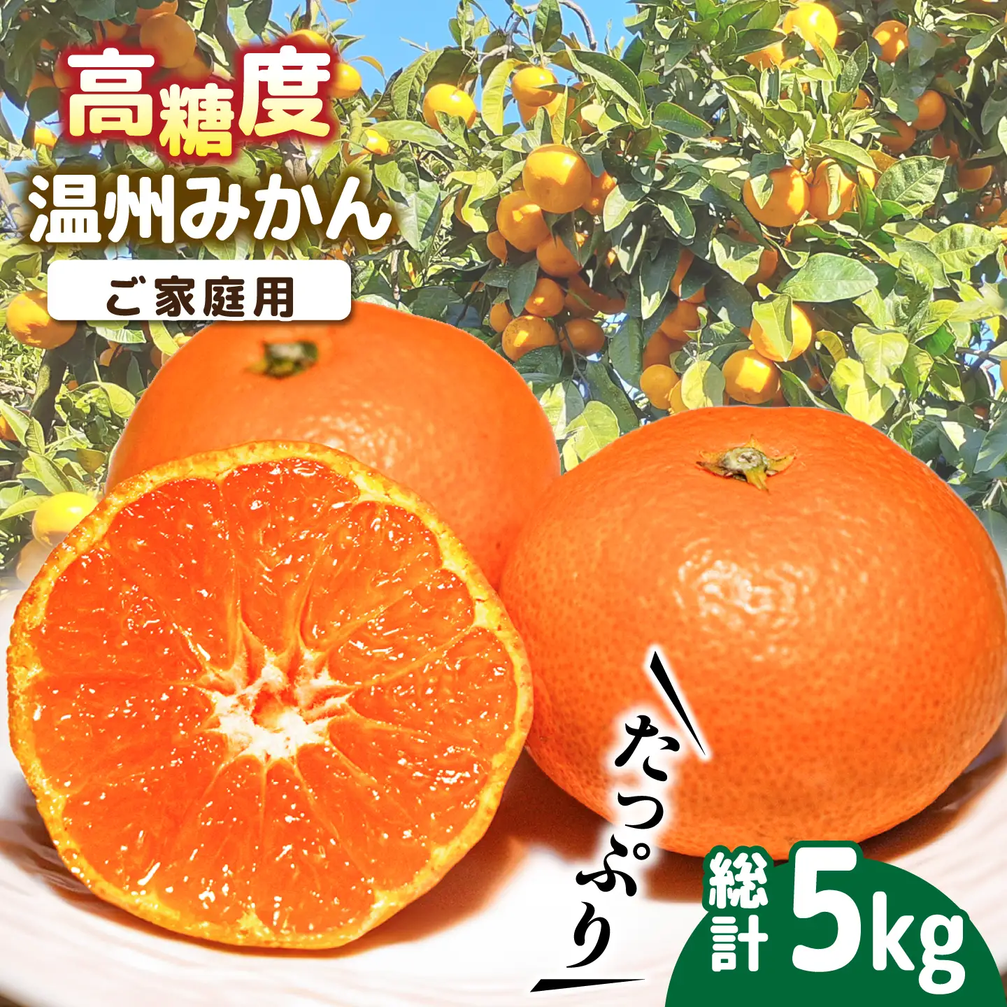 【2026年11月下旬-発送】【高糖度】 温州みかん 約5kg / みかん ミカン 蜜柑 長崎県産みかん 糖度 果物 くだもの フルーツ ふるーつ 旬 家庭用 5kg / 南島原市 / 南島原果物屋 [SCV011]
