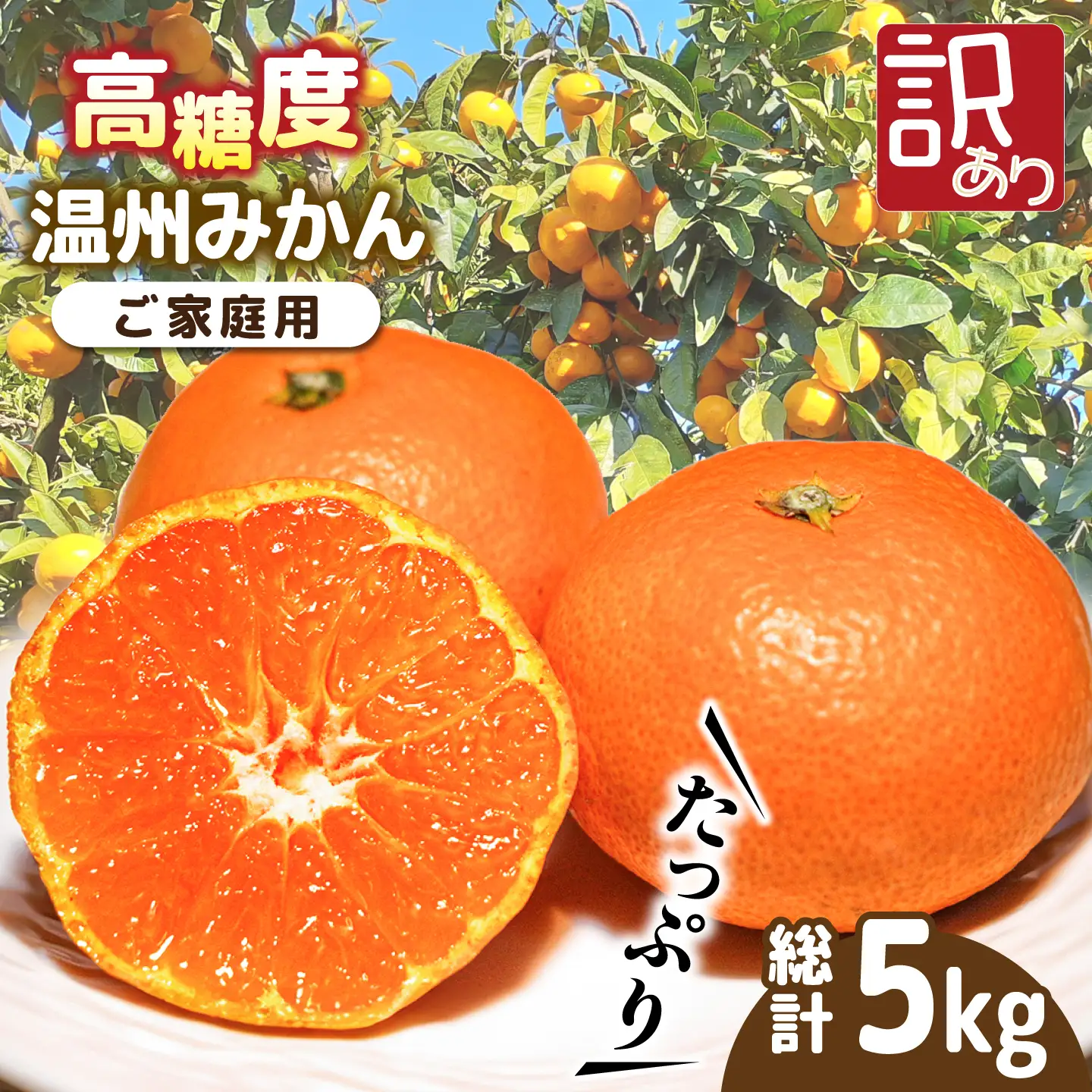 【2026年11月下旬-発送】【高糖度】 温州みかん 約5kg（傷もの） / みかん 訳あり ミカン 蜜柑 長崎県産みかん 糖度 果物 くだもの フルーツ ふるーつ 旬 家庭用 5kg / 南島原市 / 南島原果物屋 [SCV014]