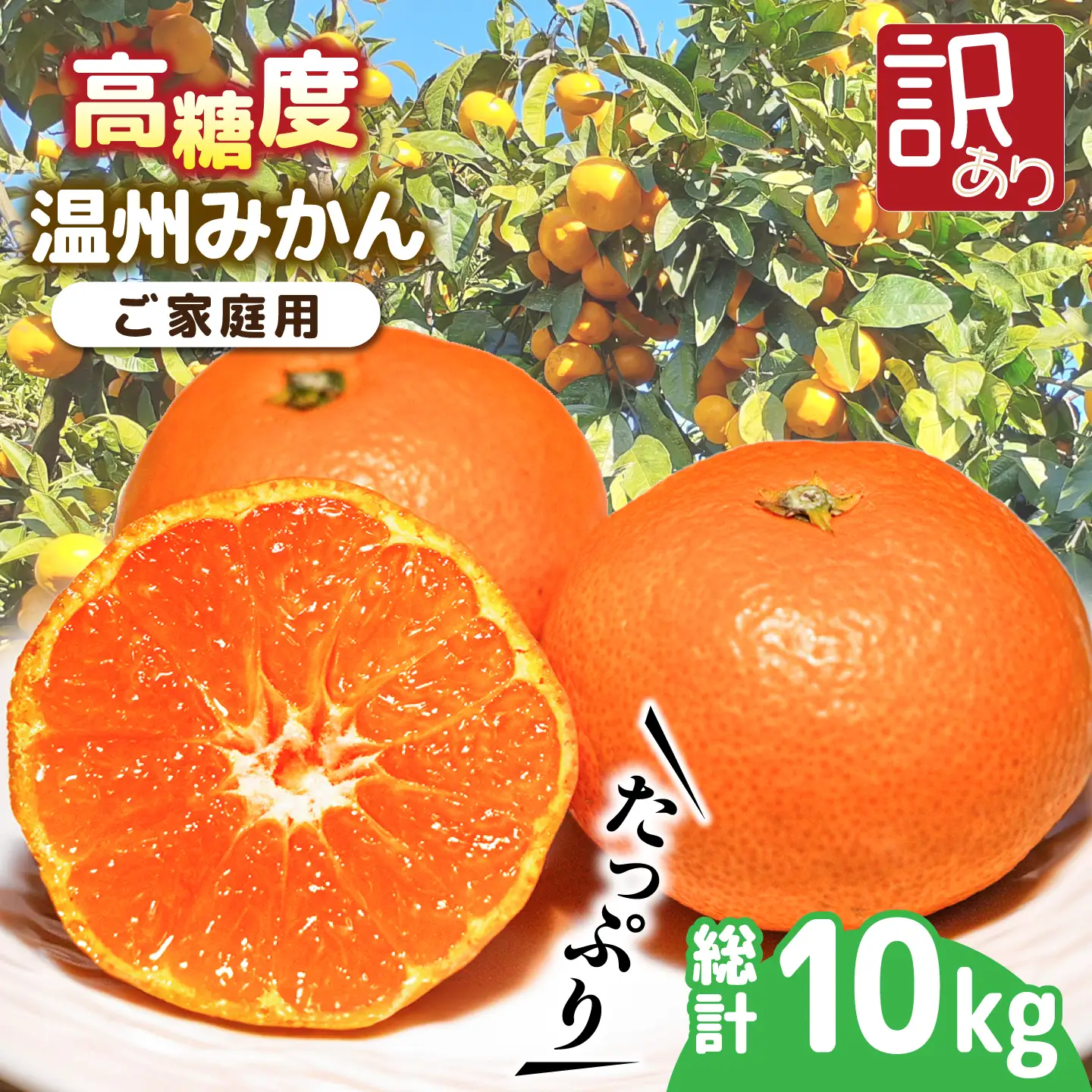【2026年11月下旬-発送】温州みかん 約10kg（傷もの）南島原果物屋 [SCV015] みかん