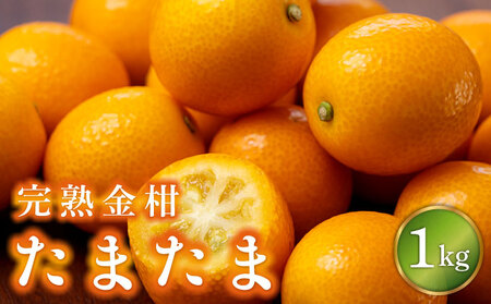【先行予約】串間市産 完熟きんかん「たまたま」1kg（1kg×1箱）_K001-019