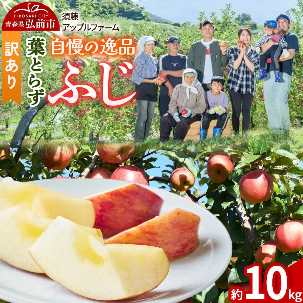 【26年11月下旬～発送】りんご 葉とらず ふじ【訳あり】約10kg 先行受付 家庭用 青森県 弘前市 果物 フルーツ 林檎 リンゴ くだもの 不揃い 規格外
