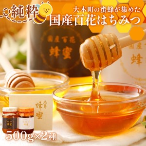 国産蜂蜜ギフト 500g×2本 はちみつ　CD02-1