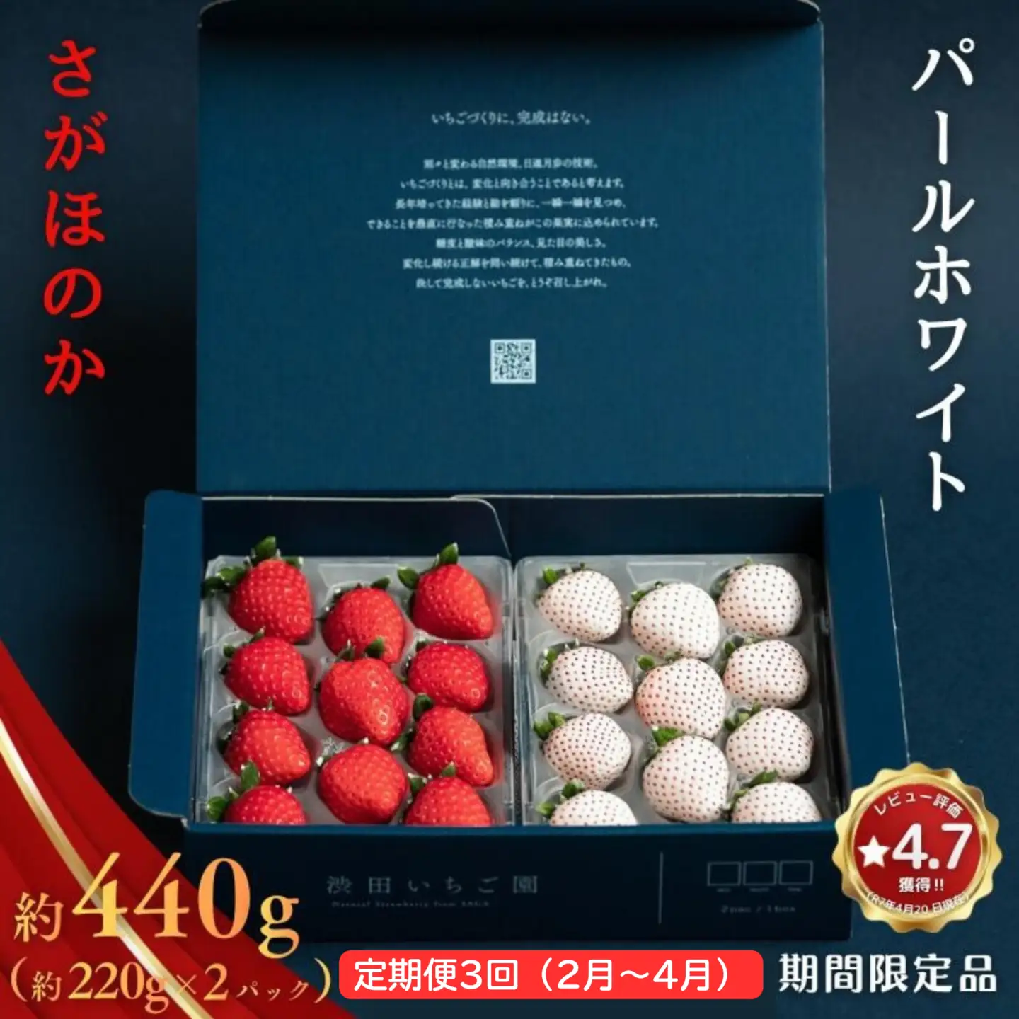 【定期便3回】数量限定！佐賀県産 紅白いちご食べ比べ【2027年2～4月発送】苺 イチゴ：B395-005