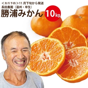 長田農園 早生みかん 秀品 S-Lサイズ 10kg