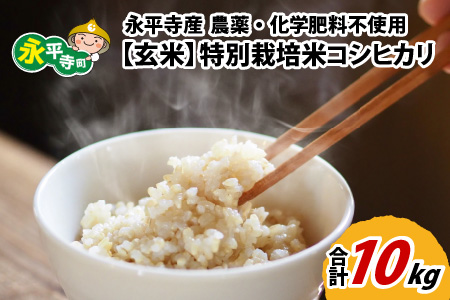 【玄米】 令和7年度産 永平寺町産 農薬不使用・化学肥料不使用 特別栽培米 コシヒカリ 10kg  [C-033075]