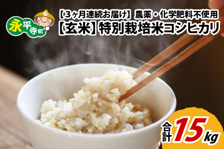3ヶ月定期便 玄米 令和7年度産 永平寺町産 農薬不使用・化学肥料不使用 特別栽培米 コシヒカリ 5kg×3ヶ月 計15kg  ５キロ 5kg 米  米 お米 コメ 送料無料 こしひかり 福井
